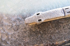 car frost Cheyenne MacMasters