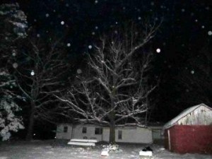 KathyP snow orbs