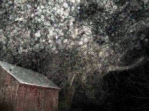 KathyP snow cloud orbs