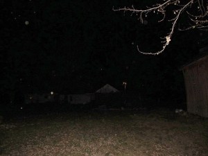 Orbs in yard