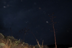 Stormy Night Orbs Cheyenne MacMasters