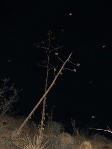 stormy night orbs Cheyenne MacMasters 6