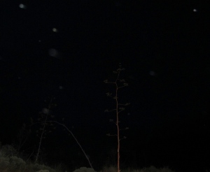 stormy night orbs Cheyenne MacMasters 8