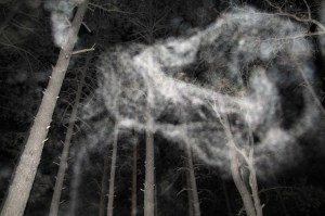 forest orbs Cheyenne MacMasters