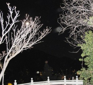 movement orb photographed by Cheyenne MacMasters