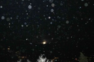 full moon orbs photographed by Cheyenne MacMasters