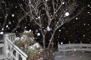 blizzard Orbs photo by Cheyenne MacMasters
