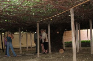 TombstoneRoseQueen2013