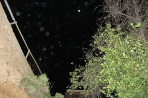 orbs (c) Cheyenne MacMasters 2013