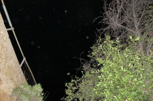 orbs (c) Cheyenne MacMasters 2013