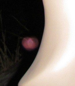 pink orb
