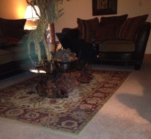 orb photo copyright Antoinetee Perez 2013