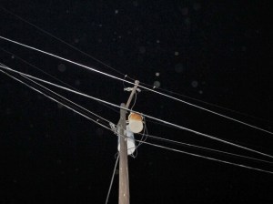 orb photo by Cheyenne MacMasters