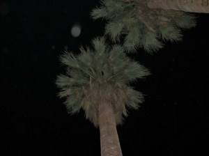 orb photo by Cheyenne MacMasters