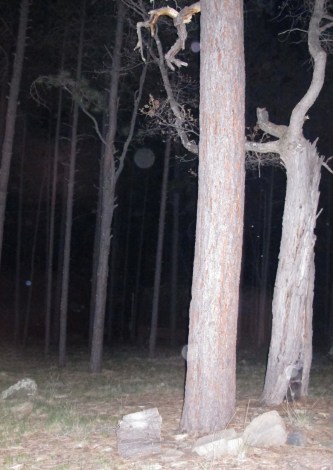 Orbs in Alpine, Arizona