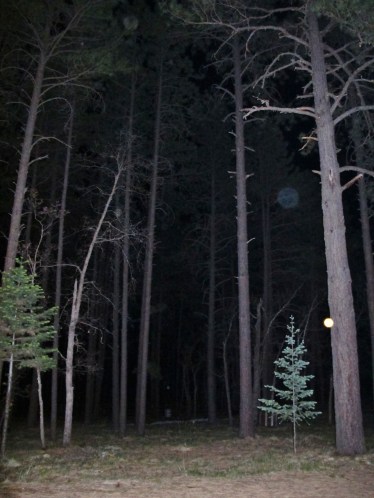 orb photo Alpine Arizona