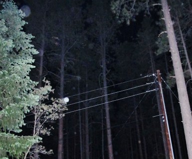 orb photo Alpine Arizona